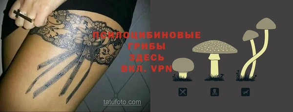 твердый Арсеньев