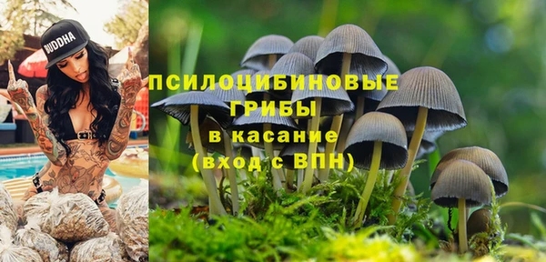 jwh Аркадак