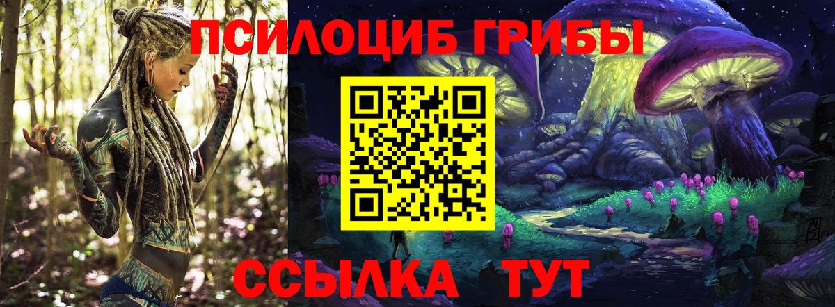 Псилоцибиновые грибы мицелий Ахтубинск