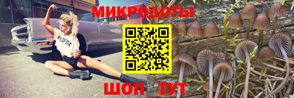 Псилоцибиновые грибы прущие грибы  Вход с VPN  Ахтубинск 